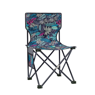 户外折叠椅凳子马扎钓鱼椅户外写生带靠背折叠凳火车坐凳座椅