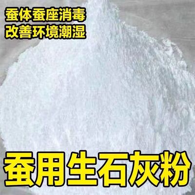 蚕宝宝专用石灰粉小蚕宝蚕卵消菌工具杀毒防潮养蚕病脱皮清理卫生