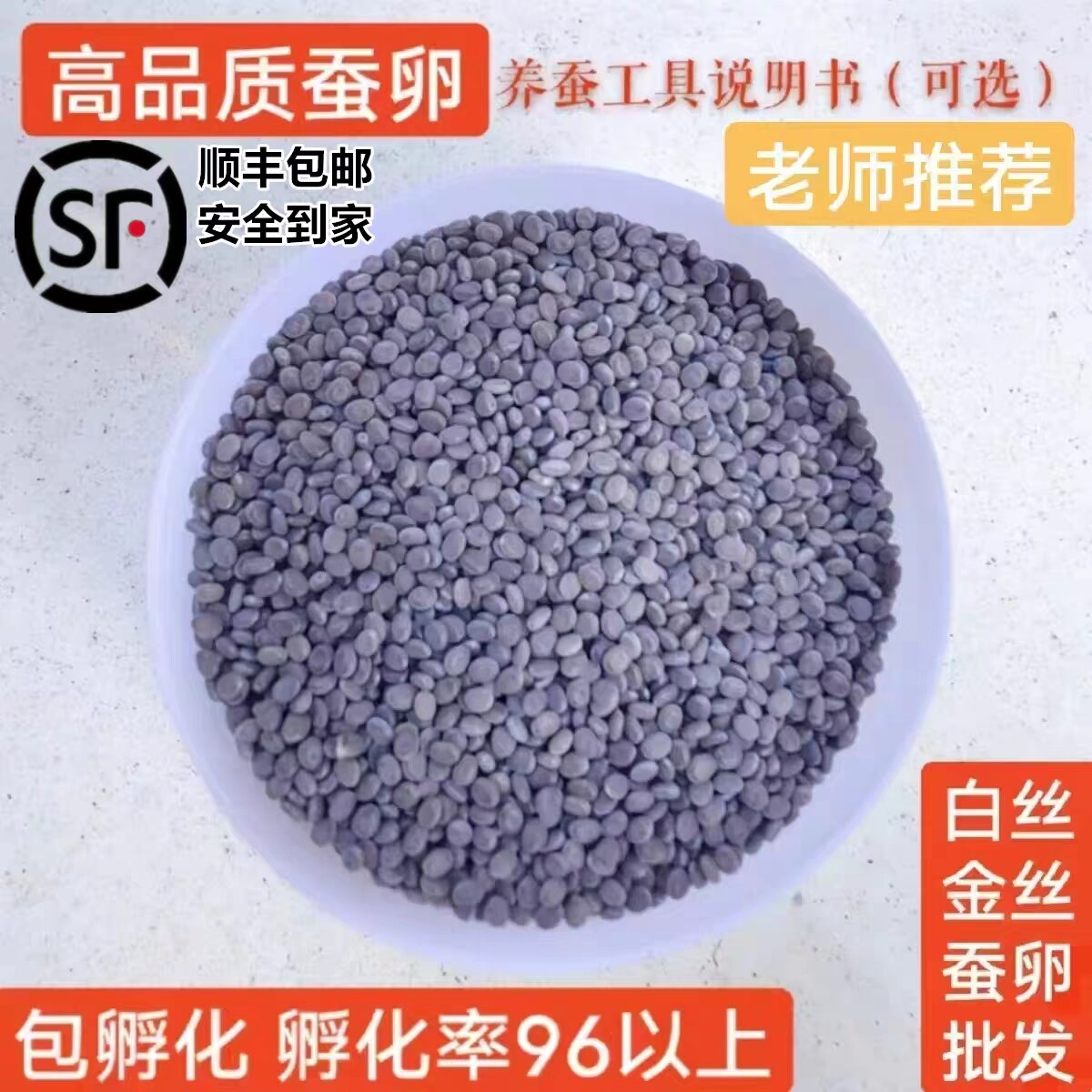 春蚕卵金丝蚕宝宝卵彩色茧蚕卵蚕七彩色蚕卵蚕种蚕子活体新鲜桑叶