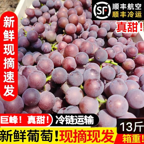 浦江巨峰葡萄新鲜采摘孕妇水果浙江马陆葡萄整串送礼顺丰冷链