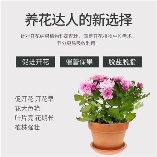 认抖音发9.9元6袋【拍2单15袋】特AZB质骨肥粉花料花卉有机肥准高