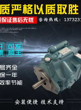 柱塞油泵V15A1RX-95；V15A2RX-95；V15A3RX-95；V15A4RX-95