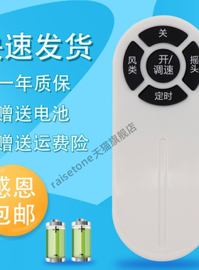 raisetone适用于格力大松电风扇遥控器FD-40X62bh5 FD-4025H5-WG 4025H5FD-4