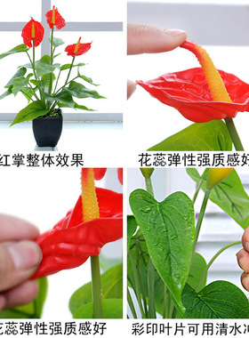 仿真花马蹄莲红掌客厅装
