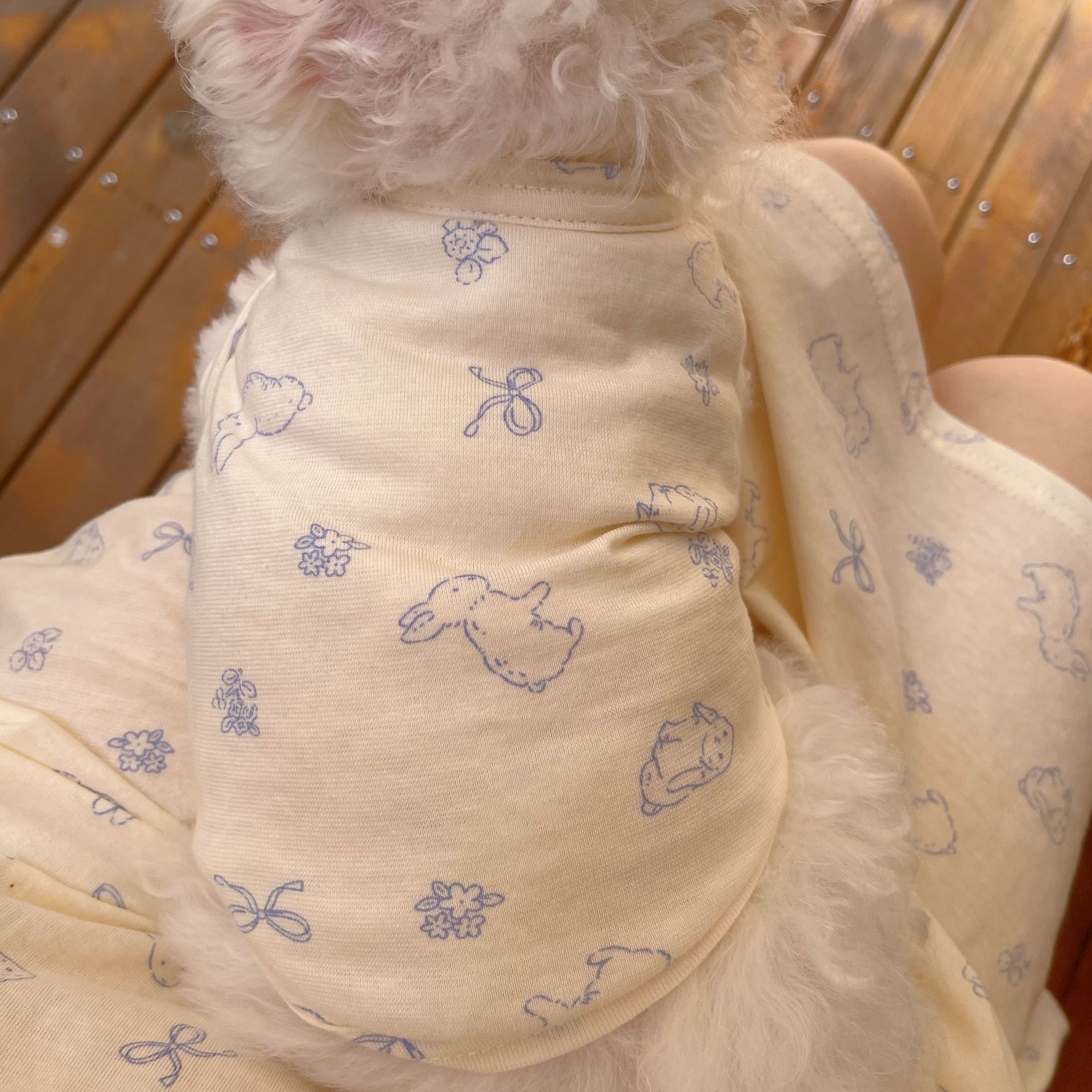 宠物衣服狗狗猫咪亲子装