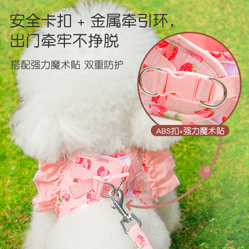 狗狗牵引绳不勒脖小型幼图片