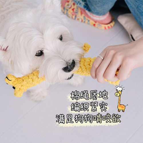 狗狗玩具磨牙耐咬绳结金