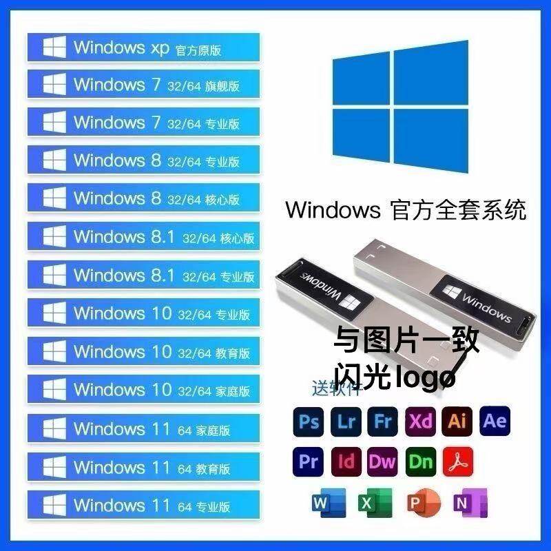 系统U盘win10纯净win11装机一键重装win7一键pe安装u盘闪光u盘