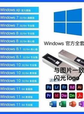 系统U盘win10纯净win11装机一键重装win7一键pe安装u盘闪光u盘