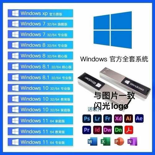 系统U盘win10纯净win11装机一键重装win7一键pe安装u盘闪光u盘