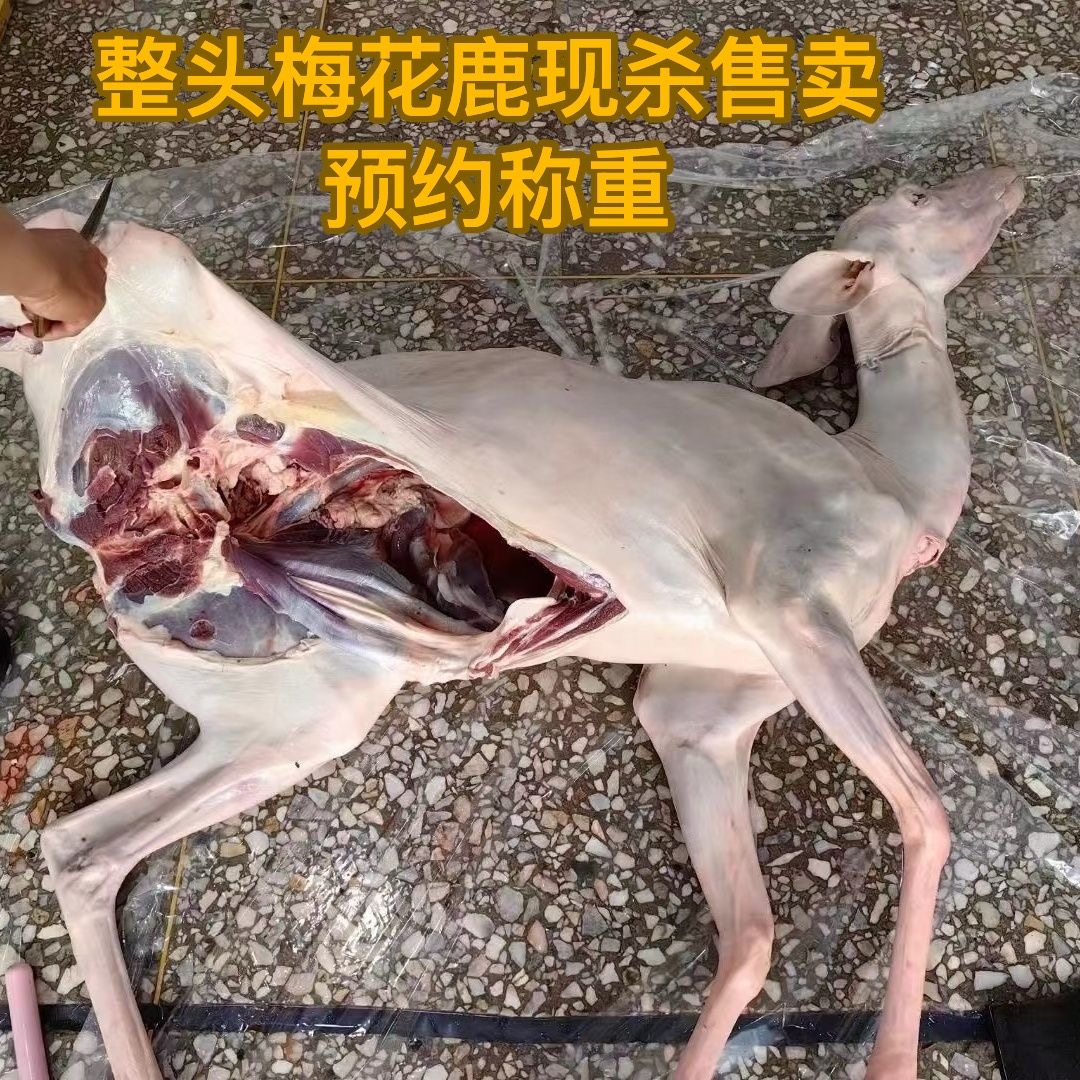 吉林梅花鹿肉新鲜现杀鹿腿鹿排整只白条冷链运输空运坏了包赔包邮