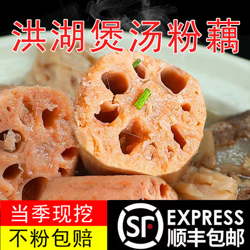 正宗洪湖粉藕煲汤莲藕粉糯桂花糯米藕新鲜现挖现发湖北特产蔬菜