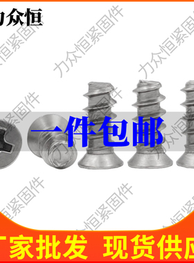M4M5*x8x10x12小头不锈钢304风扇螺丝电脑平头沉头平尾自攻螺丝钉