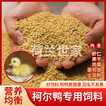 宠物柯尔鸭粮专用小鸭子饲料可达鸭粮食成年幼崽可用羽毛不发黄