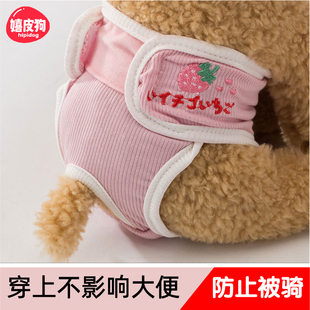 宠物防孕安全裤 卫生巾小型犬女狗专用月经裤 母狗姨妈裤 狗狗生理裤