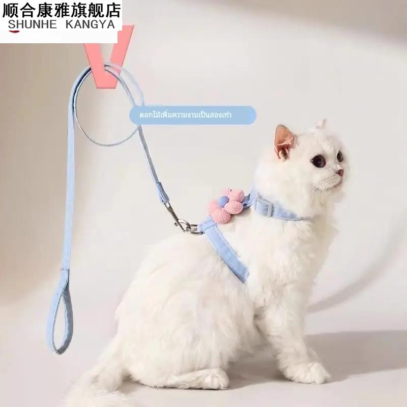 猫绳猫项圈拴猫绳套脖防挣脱猫咪牵引绳防挣脱遛猫牵引绳猫绳子猫