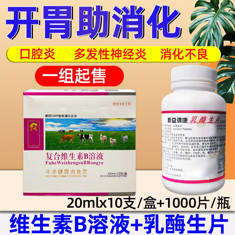 复合维生素B溶液乳酶生片兽用