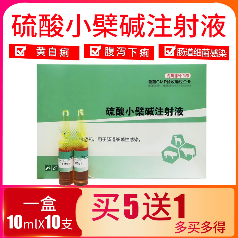硫酸小檗碱兽用注射液马牛羊猪药仔猪拉稀药小猪腹泻羔羊猪用止痢