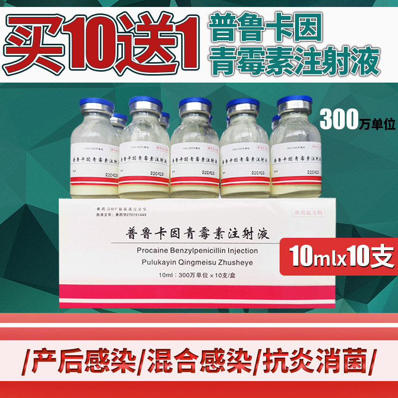 普鲁卡因兽用青霉素注射液油剂兽药猪牛羊破伤风混合感染抗菌消炎
