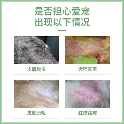 保灵保特芬喷剂呋贝舒