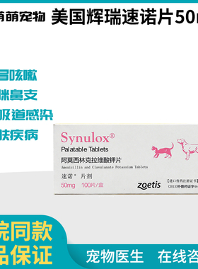 速诺猫鼻支治疗药感冒药宠物速诺片猫狗口炎猫咪皮肤病胃肠炎十粒
