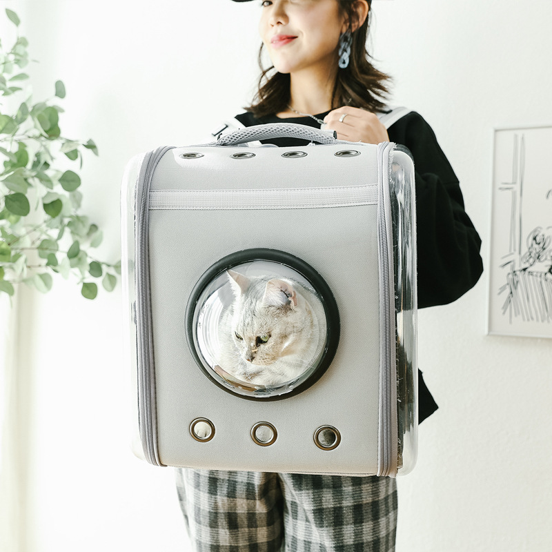 猫包外出便携猫背包太空舱超大号宠物背包猫小型犬双肩透明猫书包-封面