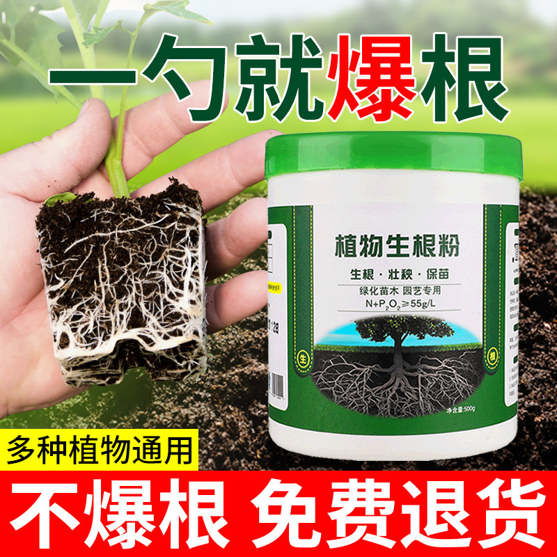 快速生根粉壮苗剂植物通用强力生根液巴西木多肉兰花营养液花肥料