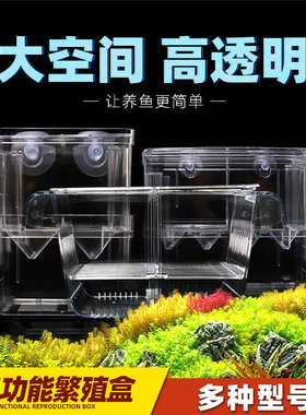 热带孔雀幼鱼产房多功能分养繁殖网隔分离盒悬浮专用斗鱼缸孵化器