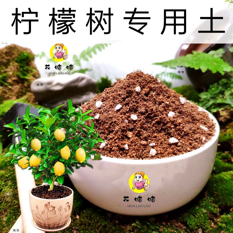 柠檬树专用土培植弱酸性图片