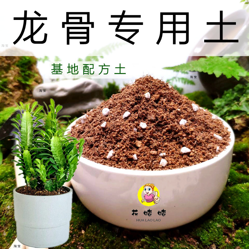 龙骨专用土巴西盆栽花卉有机营养土仙人掌培植土庭院大型绿植花泥