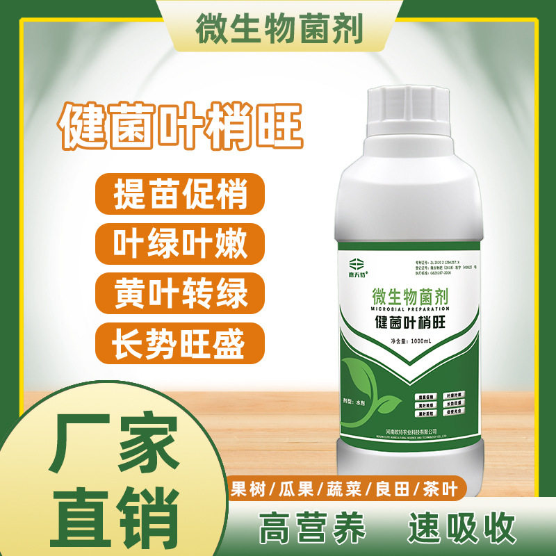 德夫特健菌叶梢旺提苗促稍黄叶转绿肥料蔬菜花卉果树瓜果粮作物肥