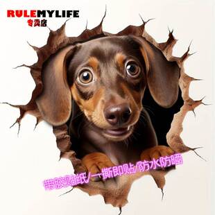 立体3d视觉创意贴纸可爱仿真狗狗墙贴房间墙角装饰墙面壁画自粘贴