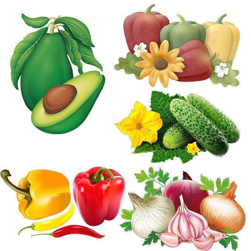 可爱的彩色蔬菜贴纸田园风厨房冰箱装饰贴花