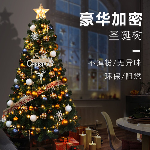 2025新款圣诞树套餐家用