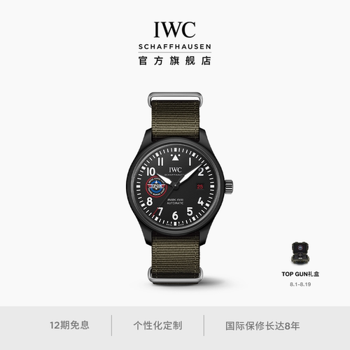 飞行员系列自动腕表SFTI特别版