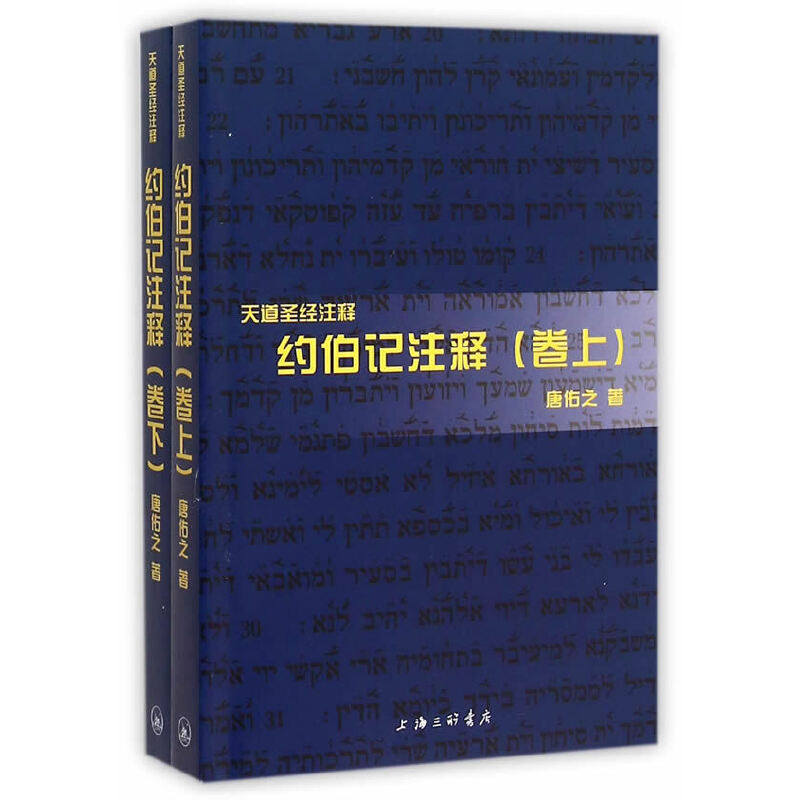 【当当网 正版书籍】约伯记注释(上下卷)