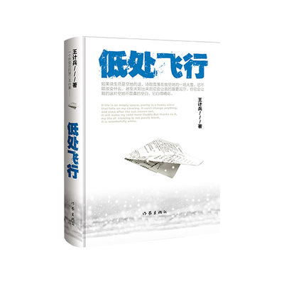 当当网正版 低处飞行 王计兵2024新书（现象级素人作家 外卖员诗人 央媒等重磅报道 单篇诗歌阅读超2000万人次）赶时间的人