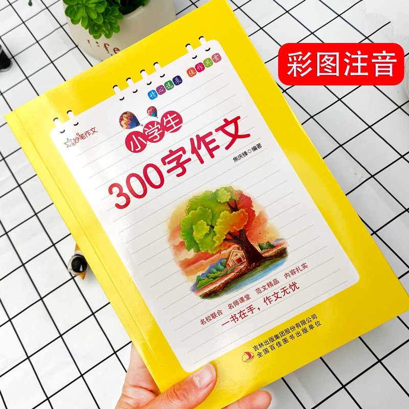 大全起步训练 阅读写作训练优秀范文佳句点评 小学生作文起步入门日记