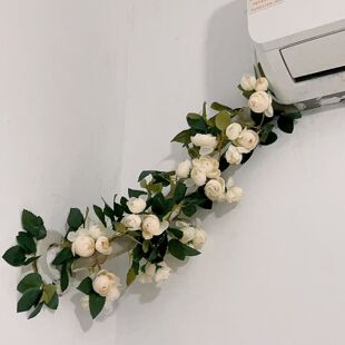 下水管子遮挡罩空调线管道装饰创意美化落水消防排水管绿树叶藤条