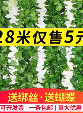 仿真葡萄叶藤条藤蔓植物