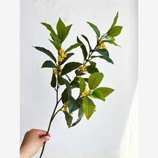 仿真桂花叶插花摆件道具常青月桂支工程酒店装饰树叶家居软装假花
