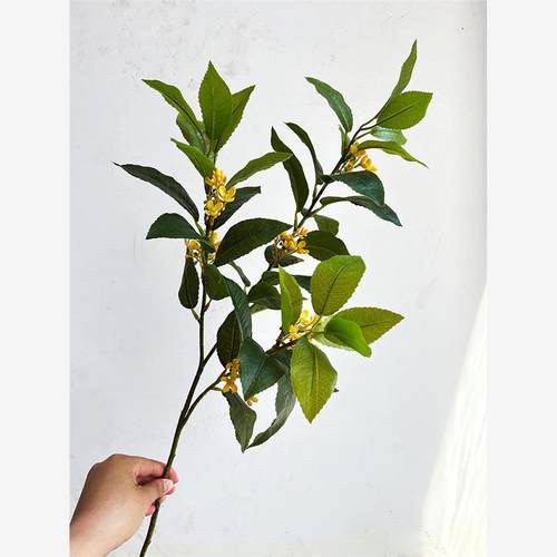 仿真桂花叶插花摆件道具