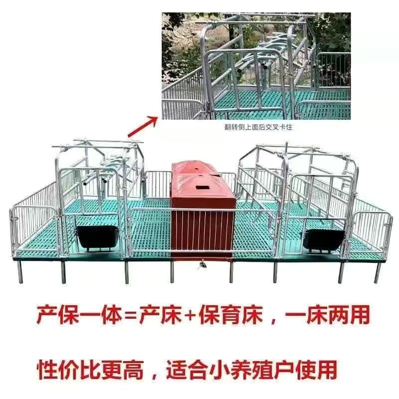 淘母猪产床猪用娩l体双体产床分单床保育一体限位畜栏牧养殖设