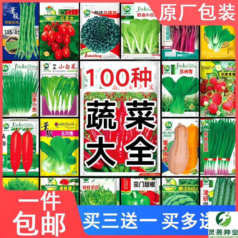 蔬菜种子四季播盆栽阳台庭院香菜辣椒番茄黄瓜豆角香甜瓜籽孑大全