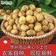 贵州毕节农家自种黄心小土豆威宁本地洋芋高山土豆新鲜现挖马铃薯