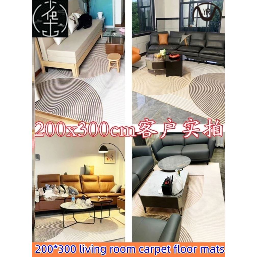 Living room carpet bedroom bed blanket floor mat 客厅地毯