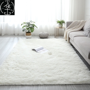 Mat Room Carpet Floor Living Rug Plush Fluffy 地毯子 Bedroom