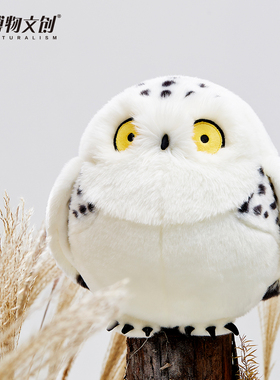 博物文创大圆宝白色雪鸮猫头鹰毛绒抱抱可爱玩偶女生睡觉毛球公仔