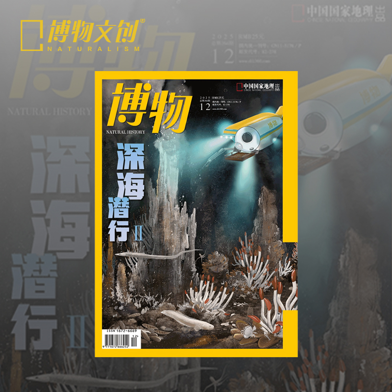 博物12月刊深海潜行2主题拉页