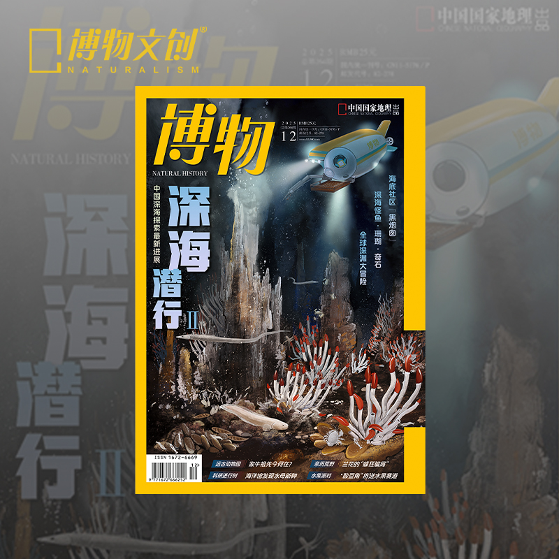 博物12月刊深海潜行2主题拉页